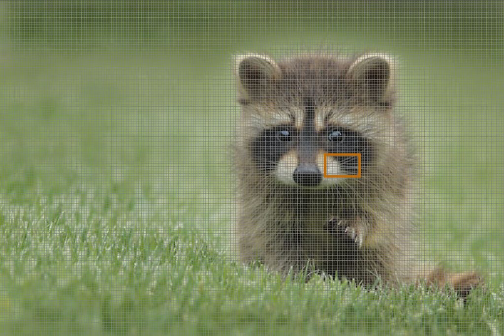 Combien de pixels pour une bonne qualité photo, le guide complet photomaniac
